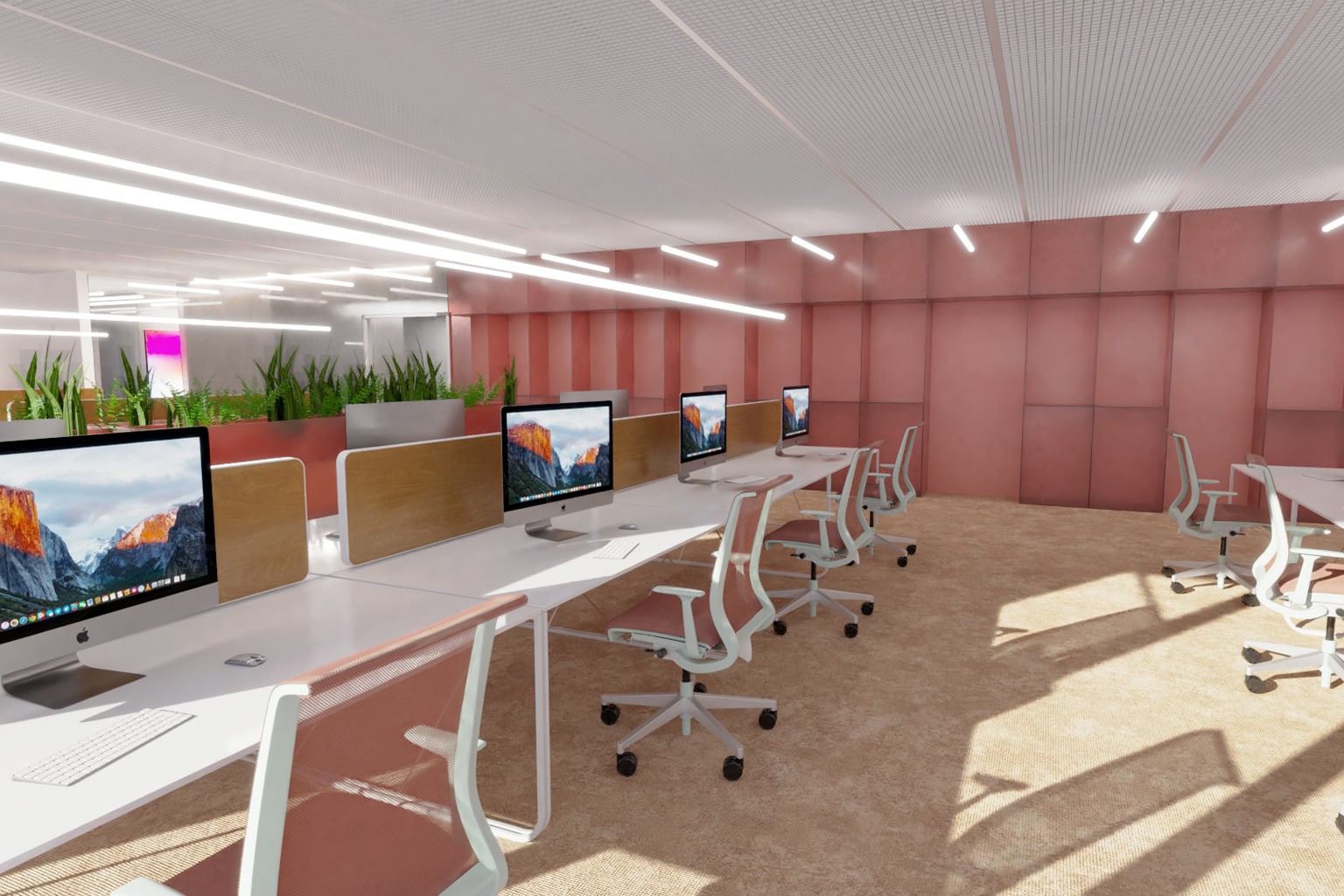 The Hub, pink workspace by 2BOLD